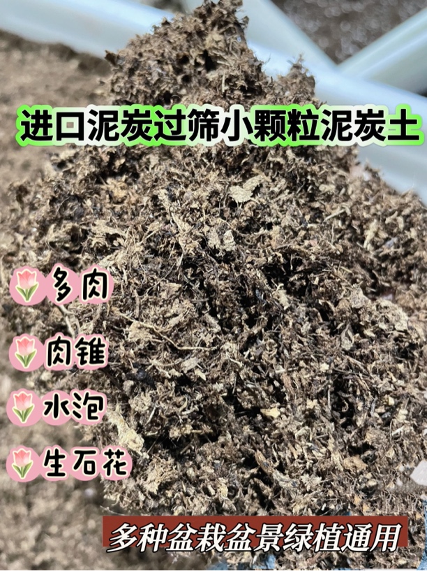 进口泥炭土精筛小颗粒营养土多肉肉锥生石花水泡十二卷等排水透气