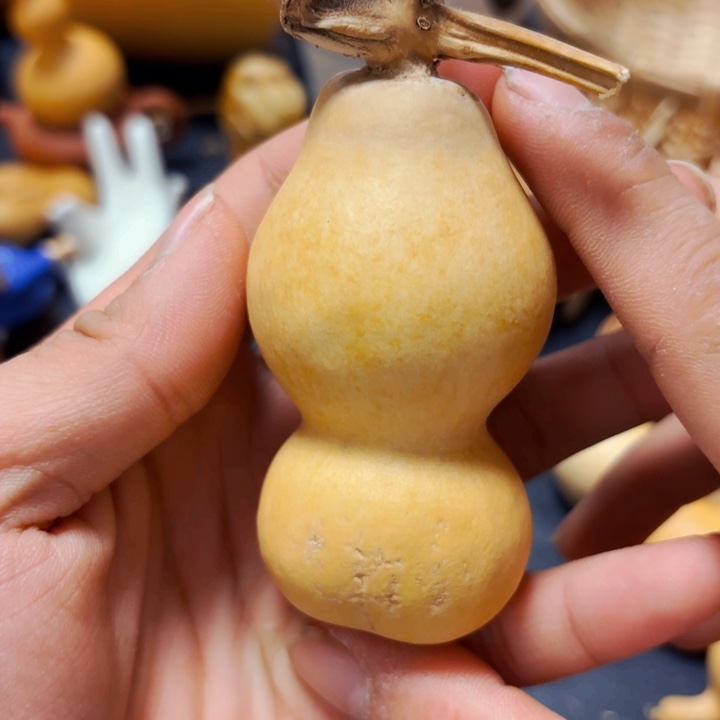 尾***。风裂88888888888888888