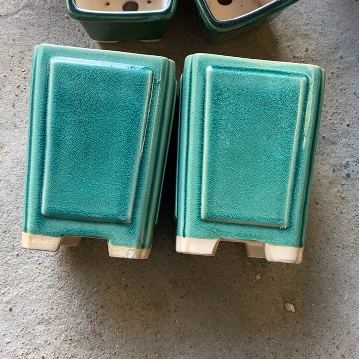 花盆花盆花盆花盆