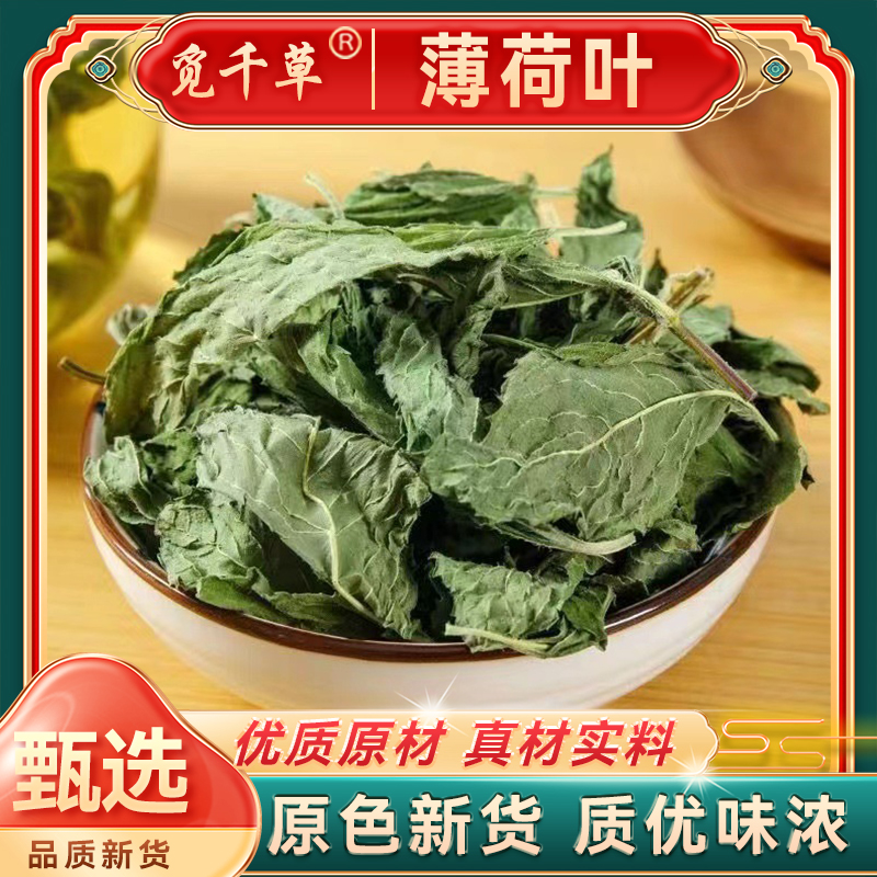 精选薄荷叶薄荷叶干薄荷茶新鲜食用薄荷叶泡水烘培另有枸杞