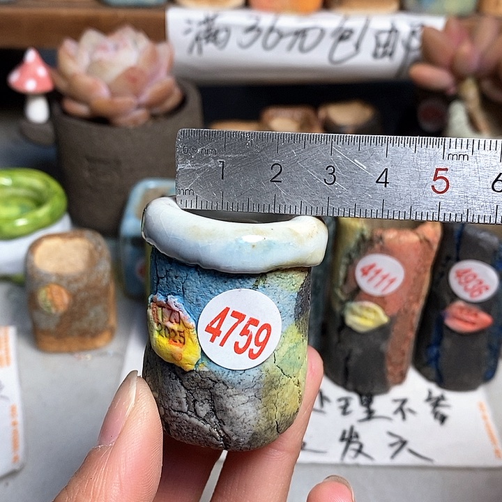 红陶拍5送一个小