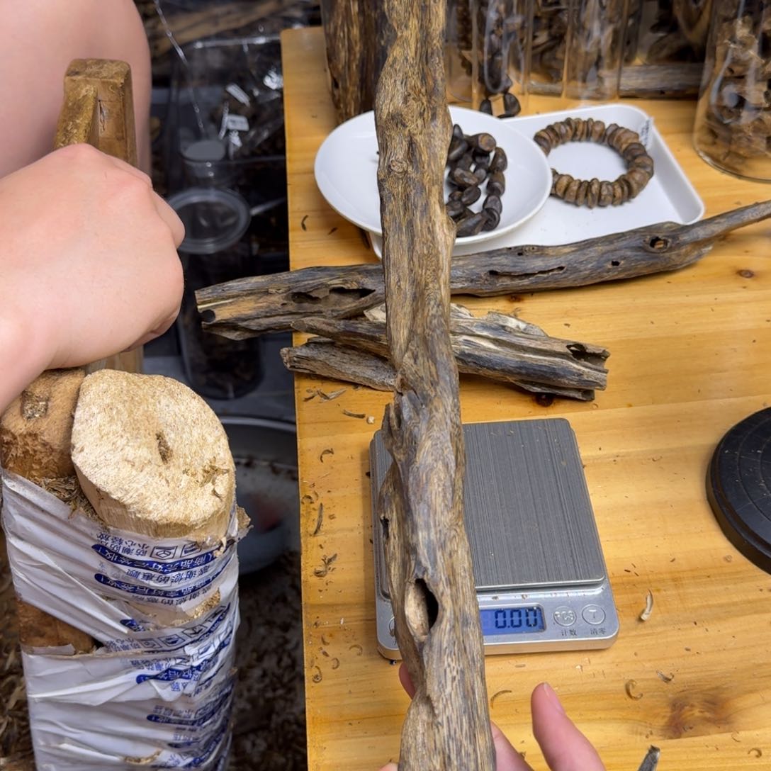 沉香沉香碎屑蓝宝石块料100克