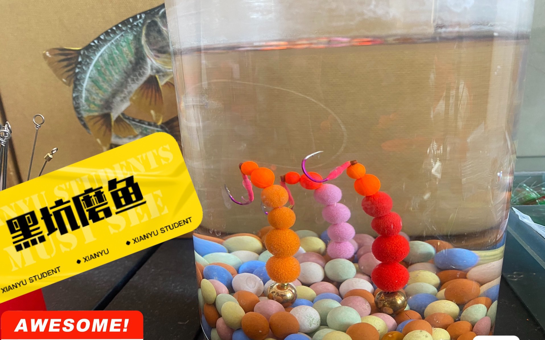 倒立虫入水倒立姿态6枚装 多克重任选添加贝X力进口诱鱼剂