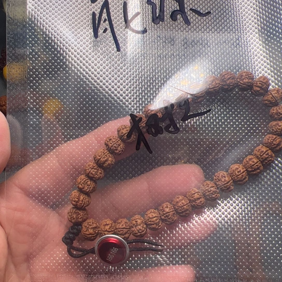 金刚菩提手串树王小金刚