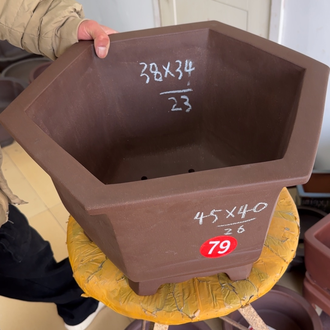 紫砂花盆呜呜呜呜