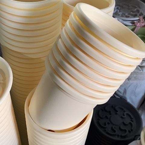 树脂四季2号6个无托米黄