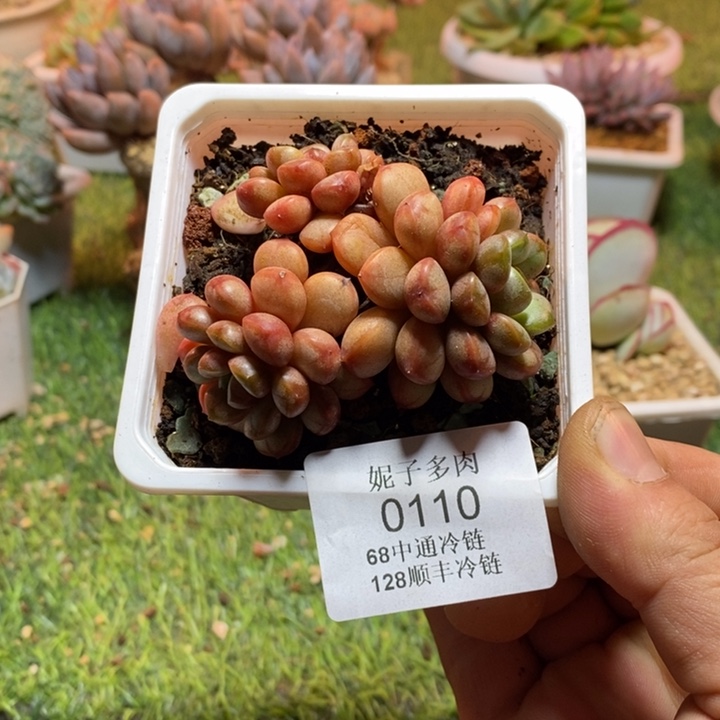 0110啊啊啊啊啊啊啊啊啊啊