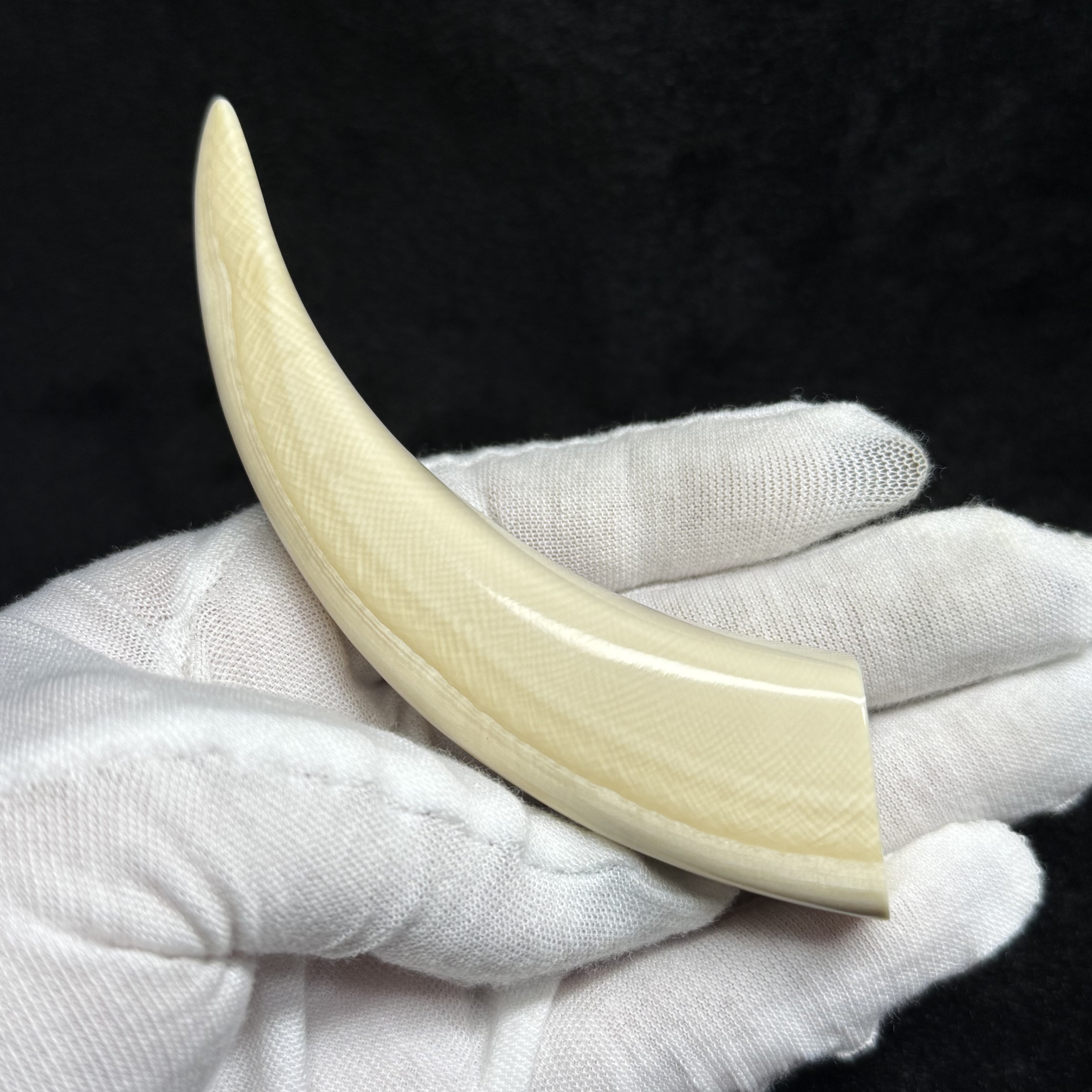 A0075牙尖猛犸牙工艺品