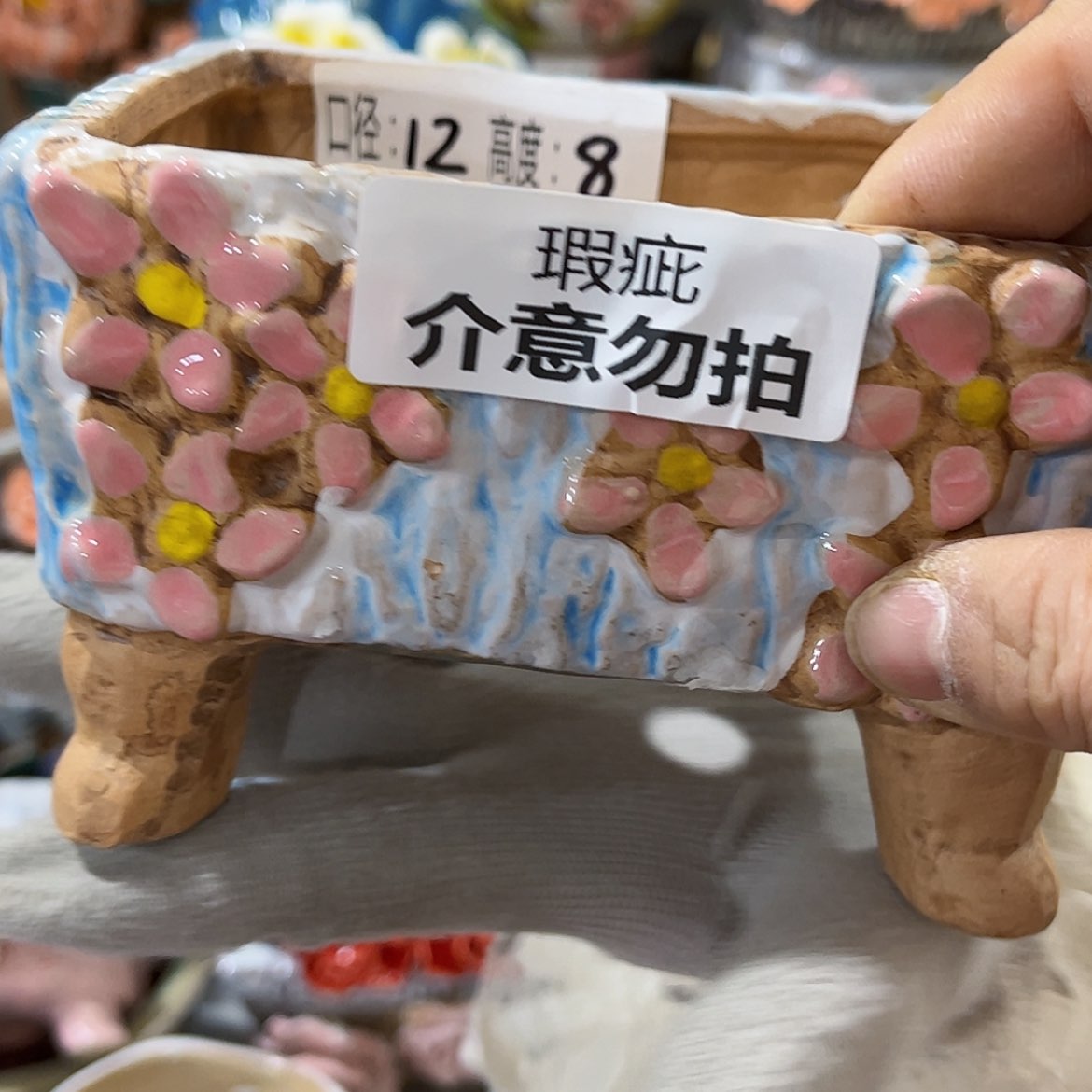 【闪购商品】红陶福利