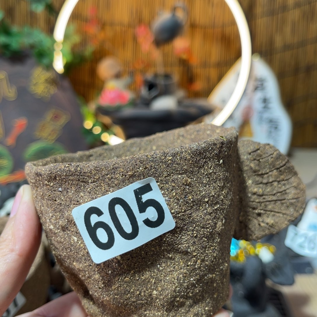 木村信弘柴烧保平