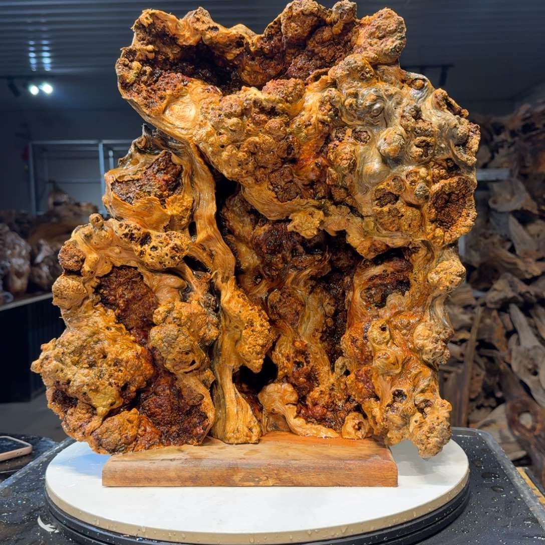 木启*王一刀琥珀木73