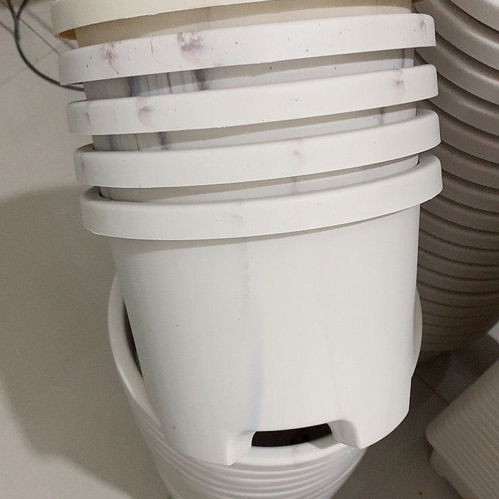 球根口26米白5个瑕疵