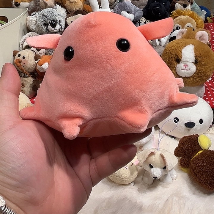 毛绒玩偶软糖颗粒海中散步