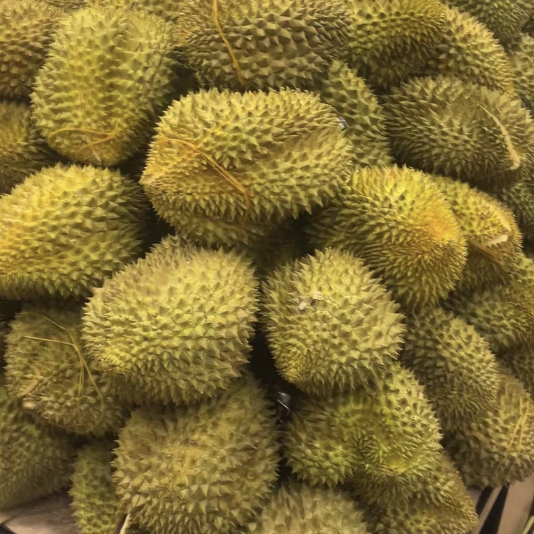 【1峨眉同城榴莲】金枕榴莲新核小新鲜果g泰国/越南金枕泰国越南