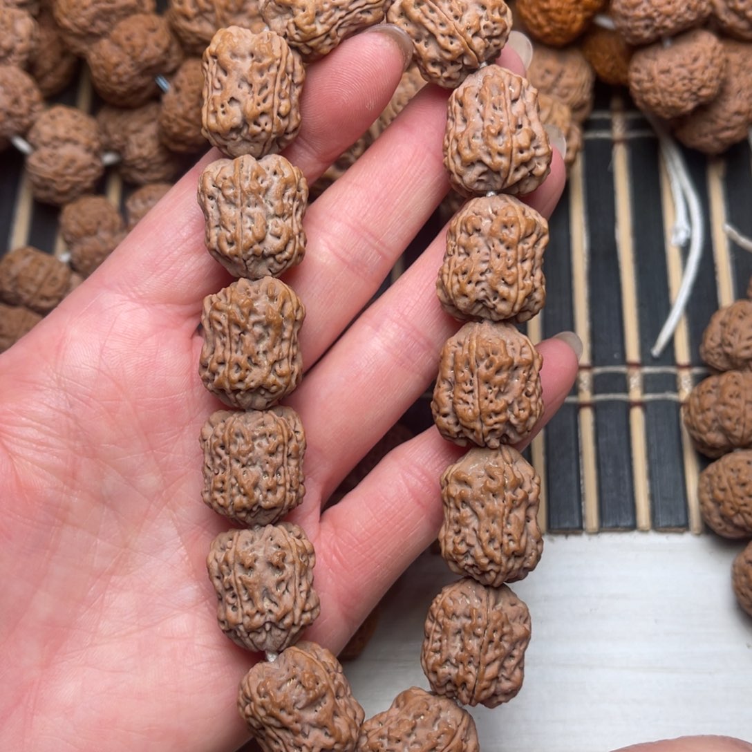 菩提尼泊尔大金刚夹板花生