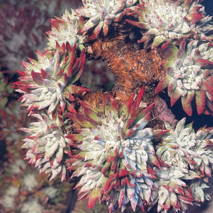 183哈哈哈哈哈哈哈，