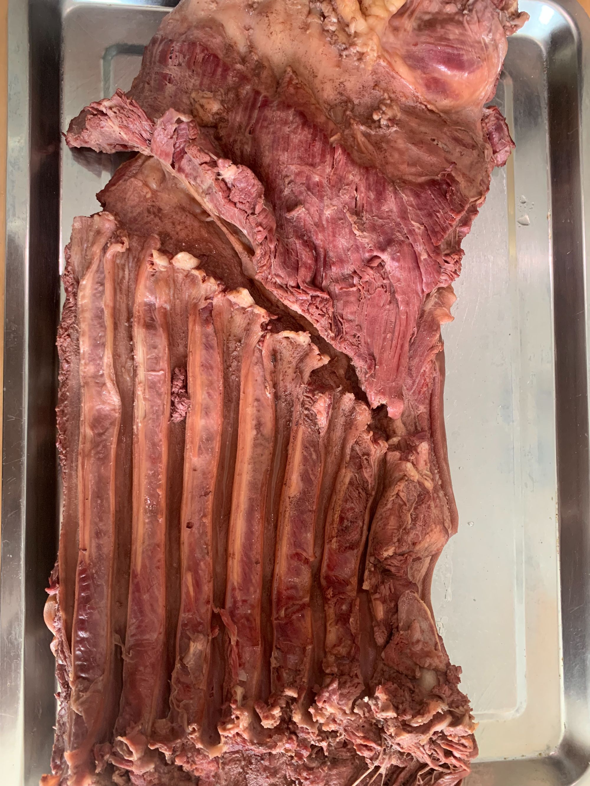 五香马肋条，肥瘦相间，顺丰包邮。坏单包赔