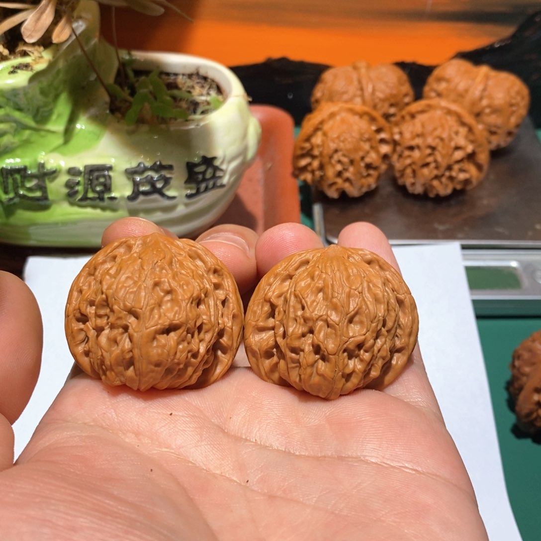 文玩核桃把件37磨盘全品花爷福利