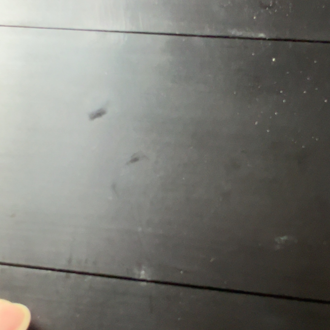 紫砂茶宠放漏场，全都漏