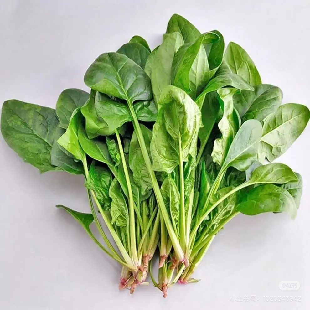 臻选菠菜称重菠菜