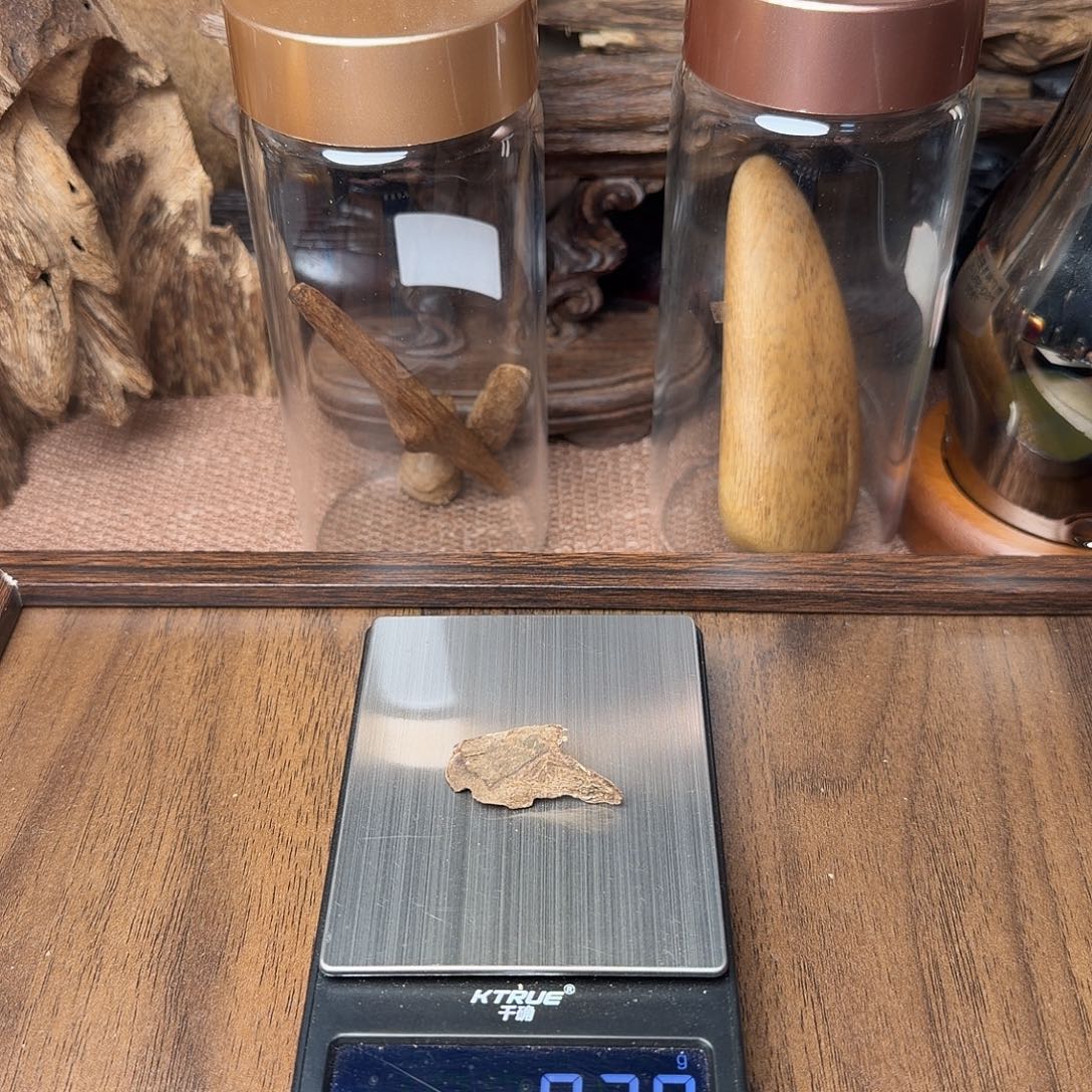 沉香香港死鸡仔 0.28g