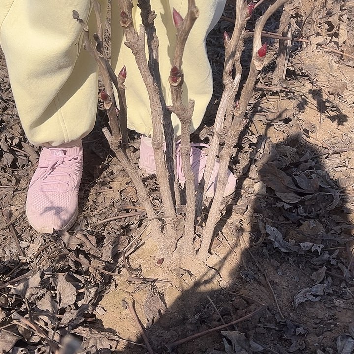 完全开放1111111111111