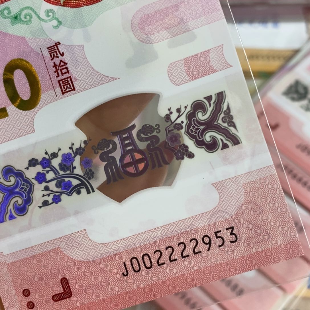 塑料0295…………………………