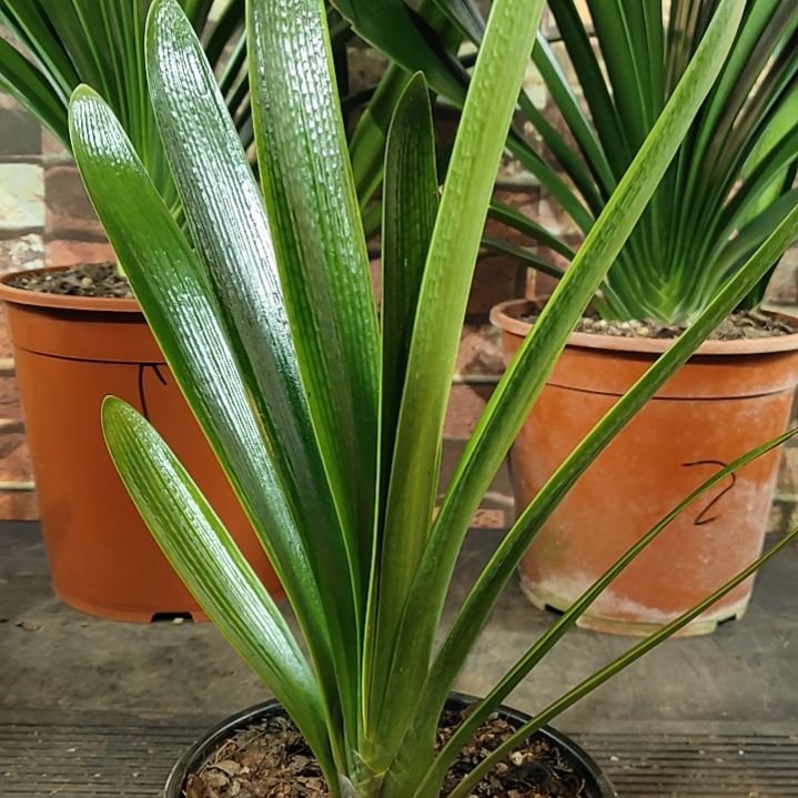 完全开放111111111