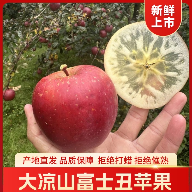 盐源丑苹果/高海拔晚熟红富士/9甜1酸