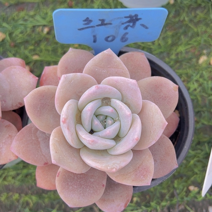 健健康康平平安安