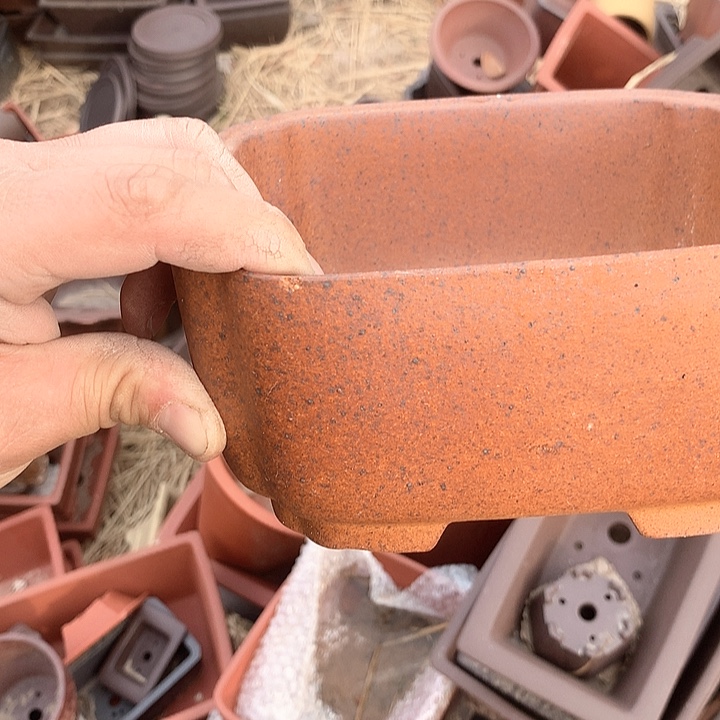 紫砂没有你喜欢吃辣不喜欢