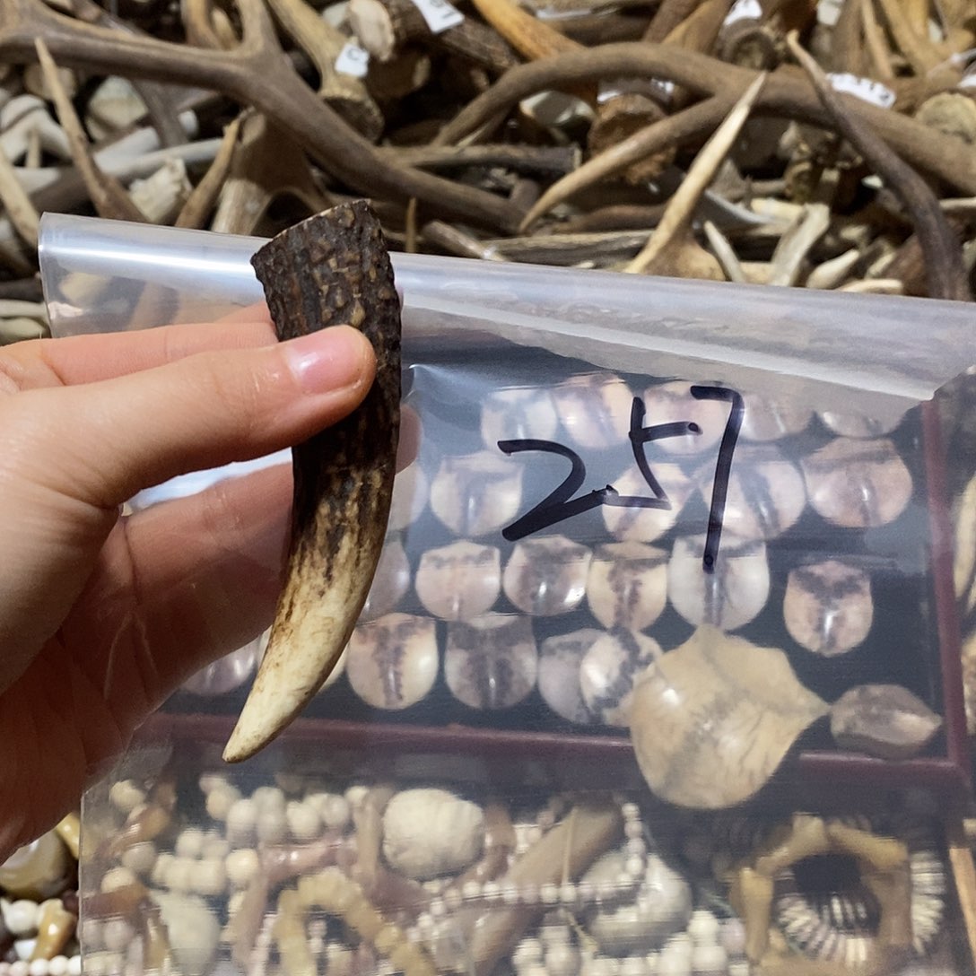 A***@非金属鹿角鹿角鹿角