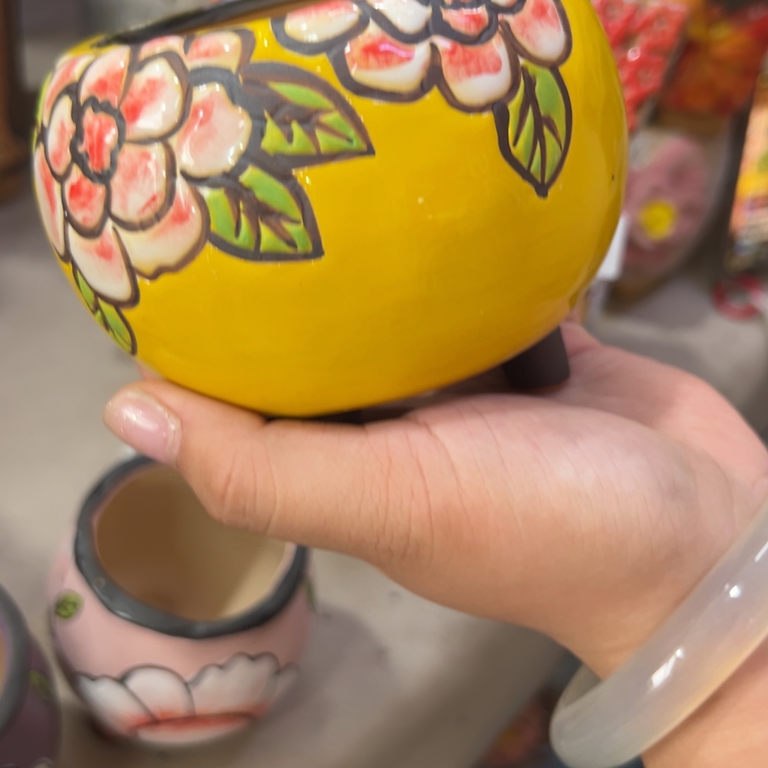花盆，满20发货爱退款拉黑
