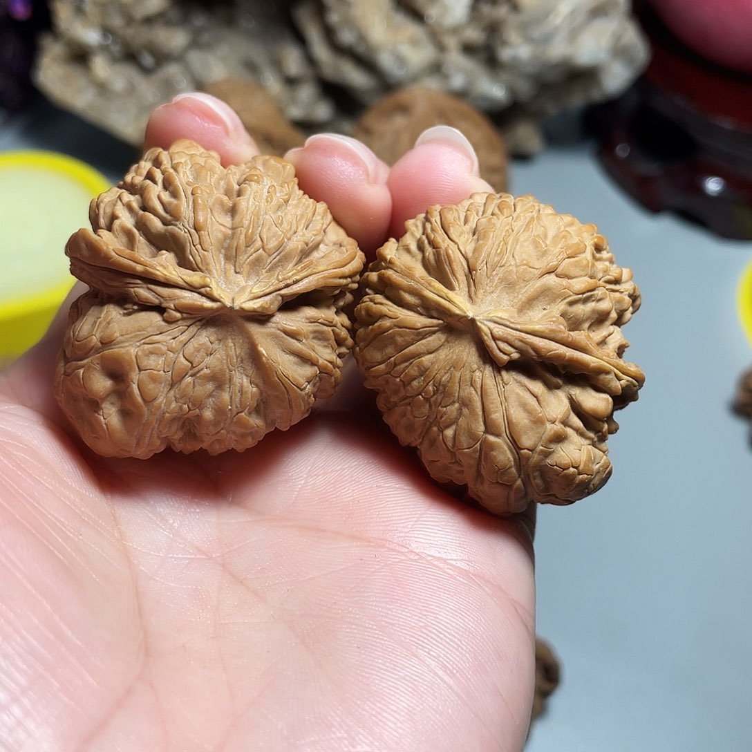 核桃手串/手链精品白狮子飞蛇