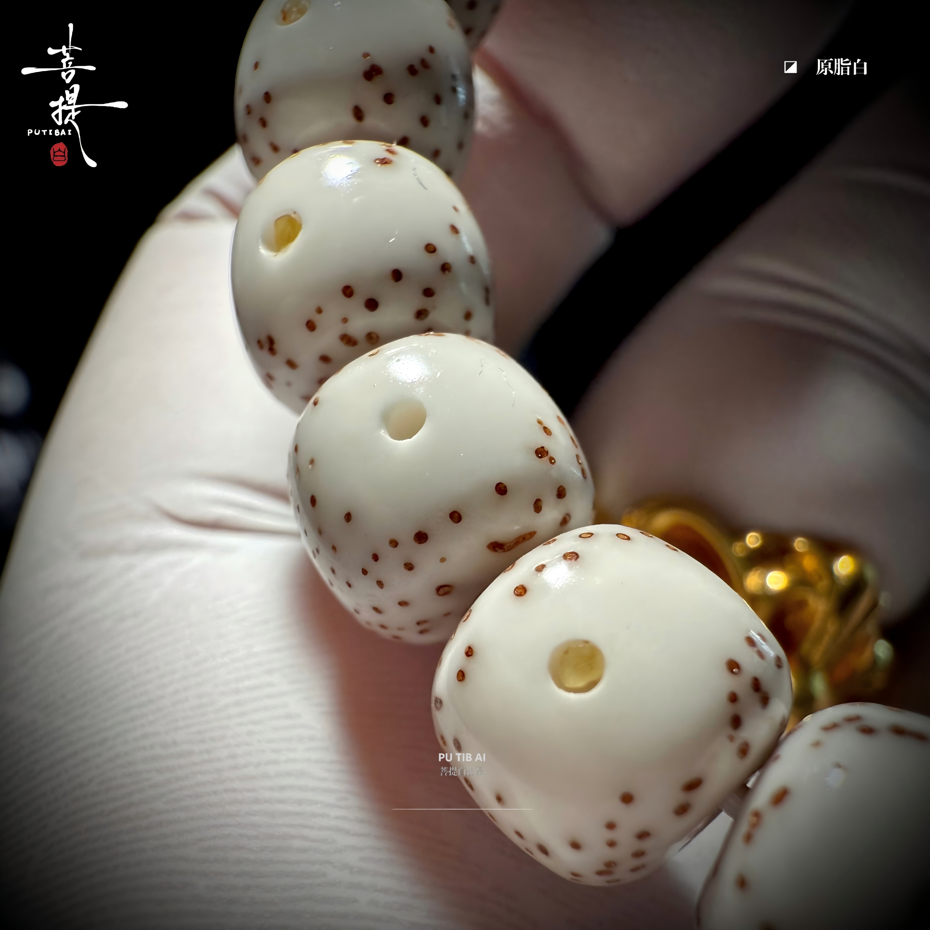 菩提白 山海·无极 原生态海南原脂白针尖星超大留白男女文玩手串