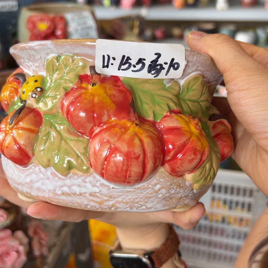 发同色2个多肉花盆，满20发货爱退款拉黑