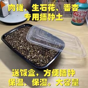 卓越多肉蕃杏生石花专用土3斤装