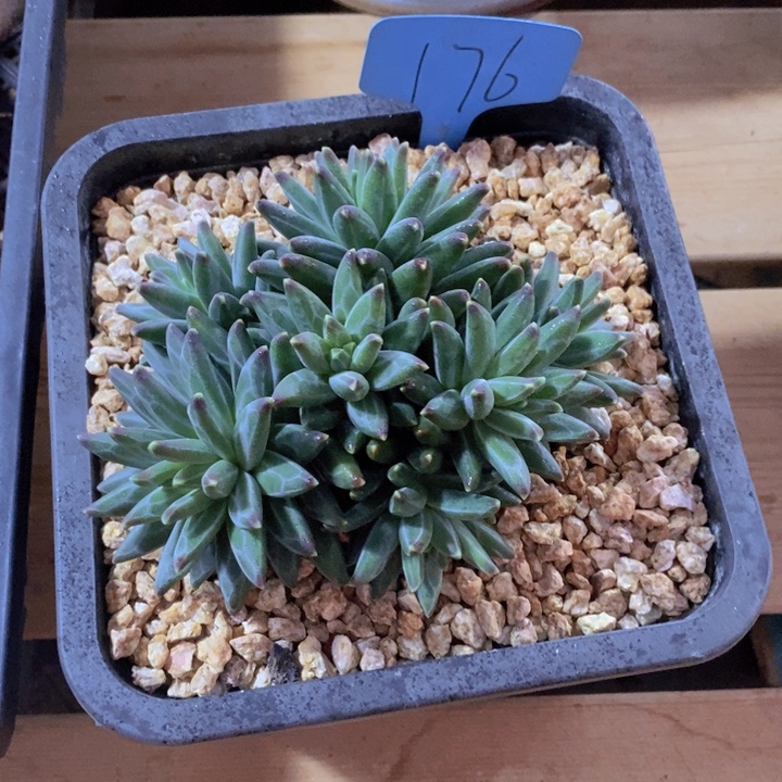 你说了就没办法做到你