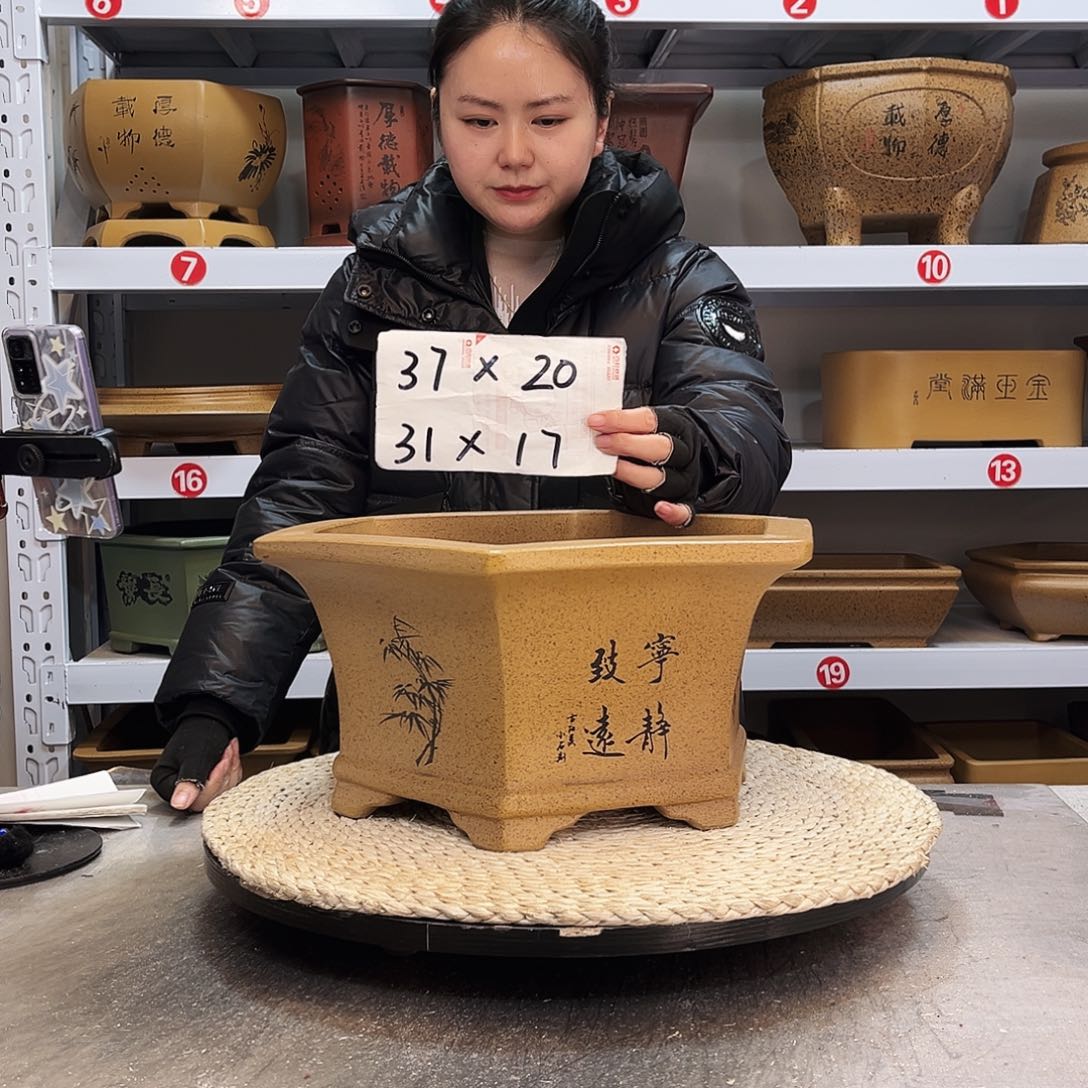 紫砂花盆紫砂花盆