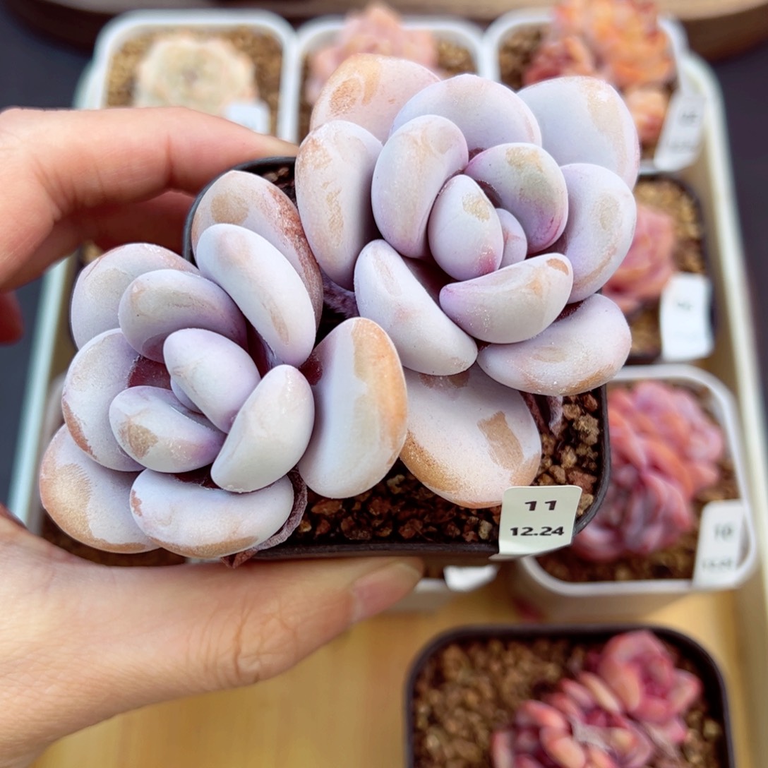 好好看11、哈哈哈哈