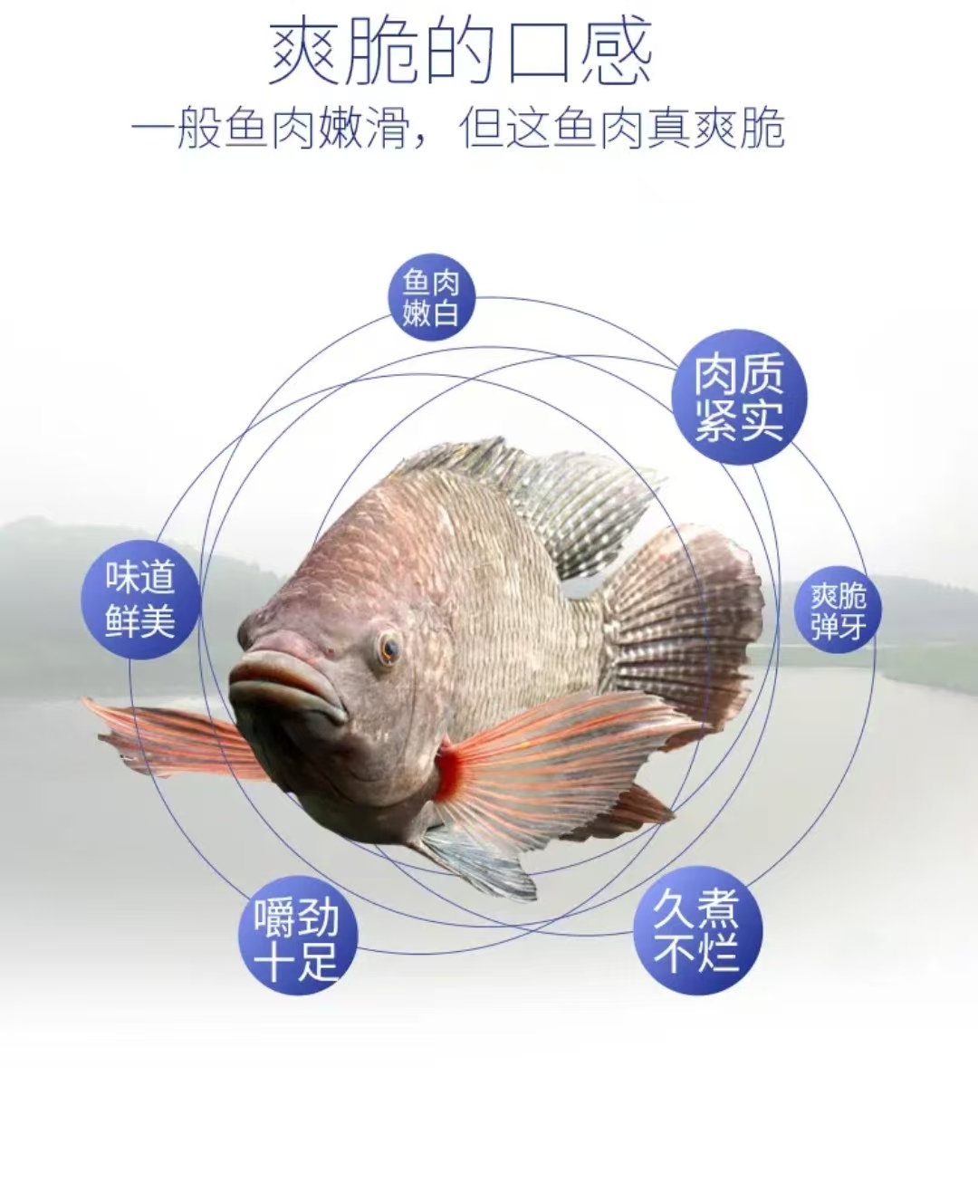 补差链接补差专用