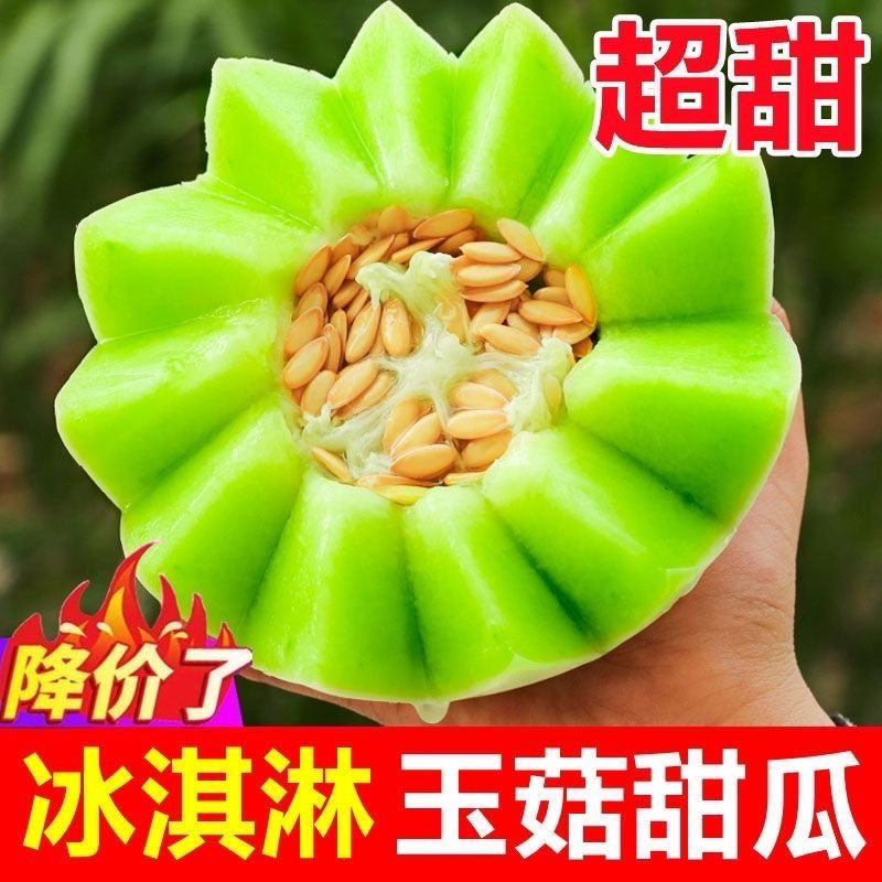 【到手5斤】山东头茬玉菇甜瓜新鲜水果应季现摘软糯冰淇淋口感带箱