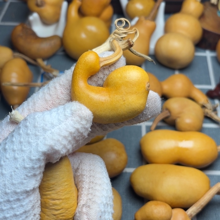 P***…葫芦霉6766666666666