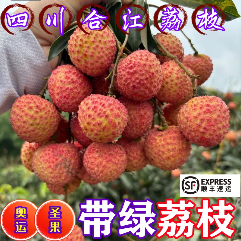 正宗带绿荔枝新鲜现摘现发多汁当季水果纯甜