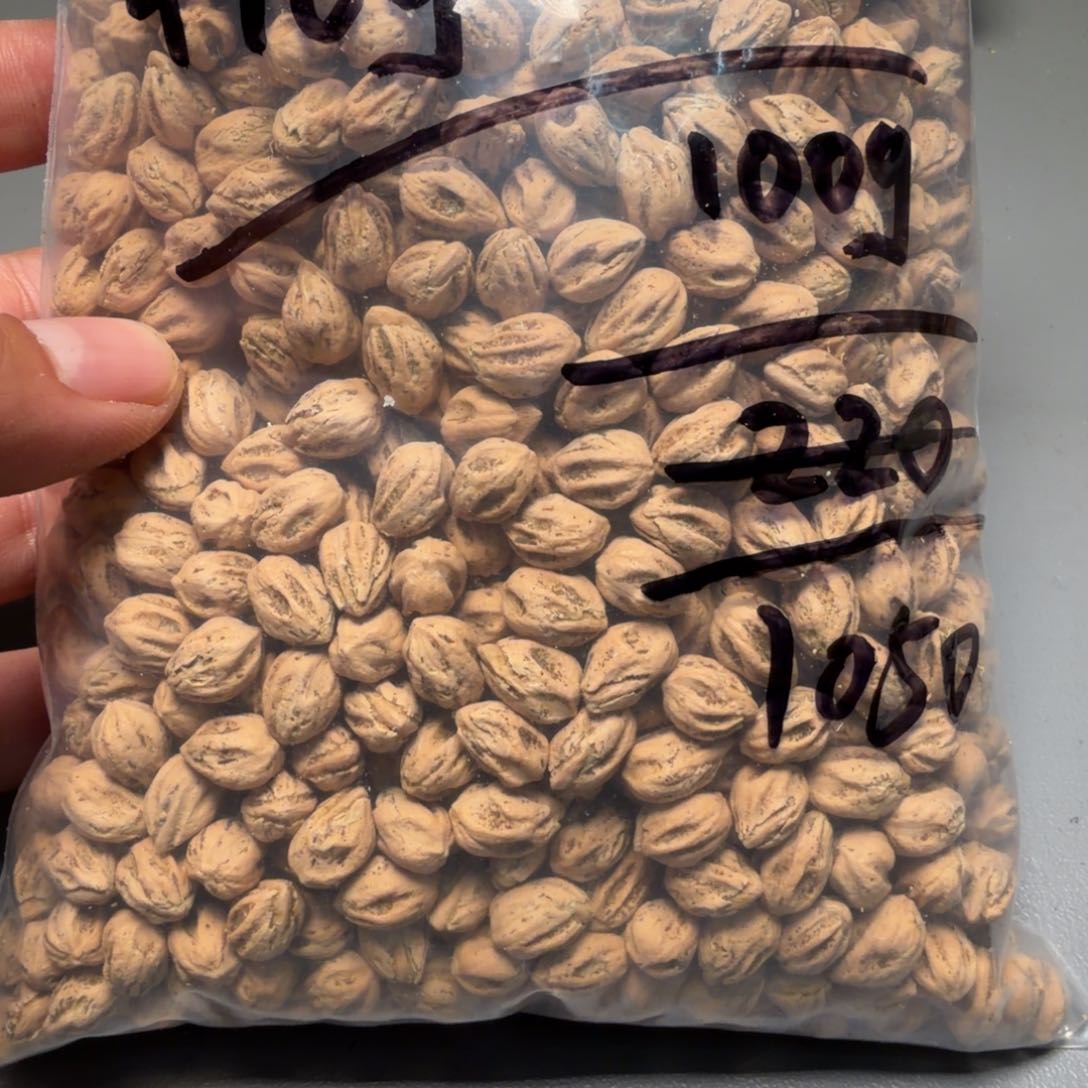 吊坠柏香籽/百香籽野**香