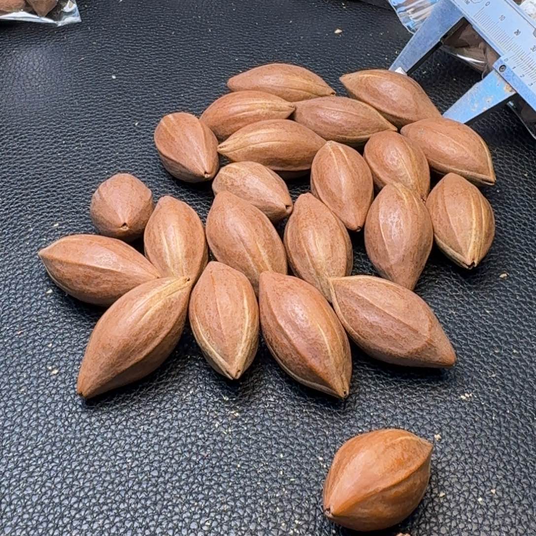 流***水手串/手链橄榄核1