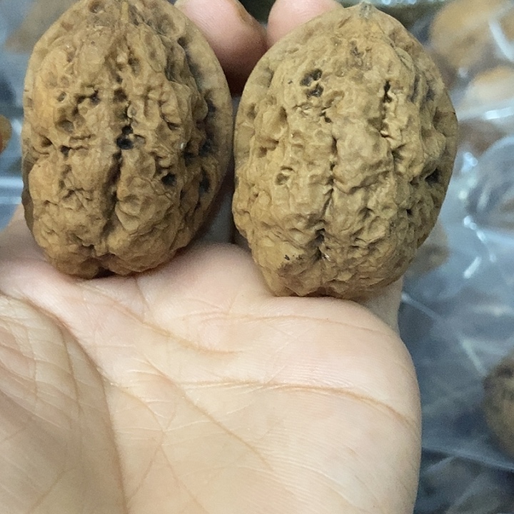 把件文玩核桃云南铁核桃基地52