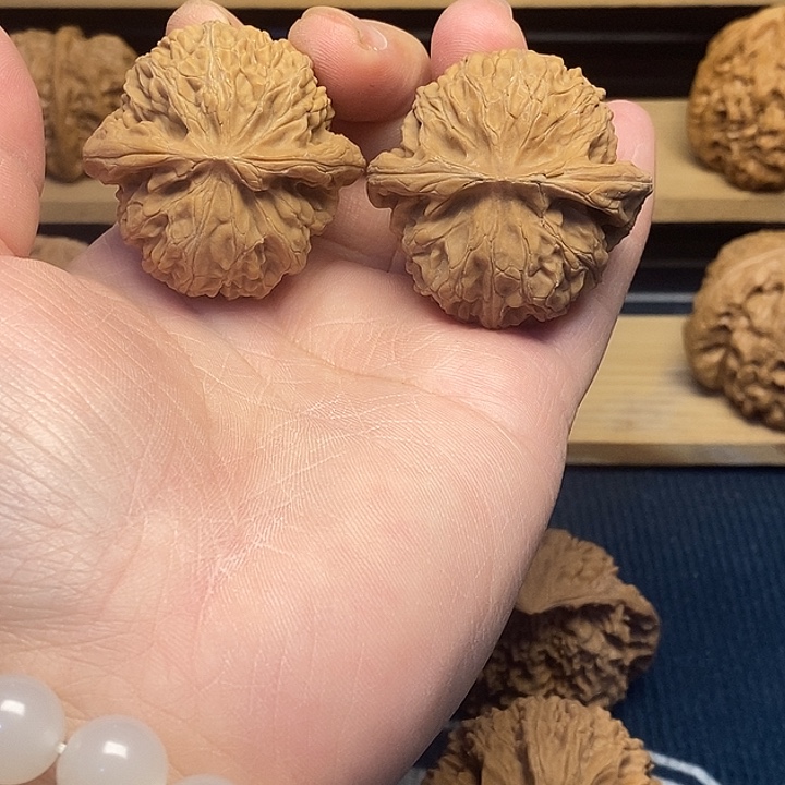 核桃42宫灯福利核桃