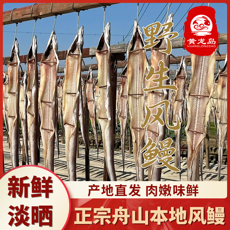 大个头舟山特产风鳗筒新鲜风鳗鱼鲞去肚自然风干海鲜