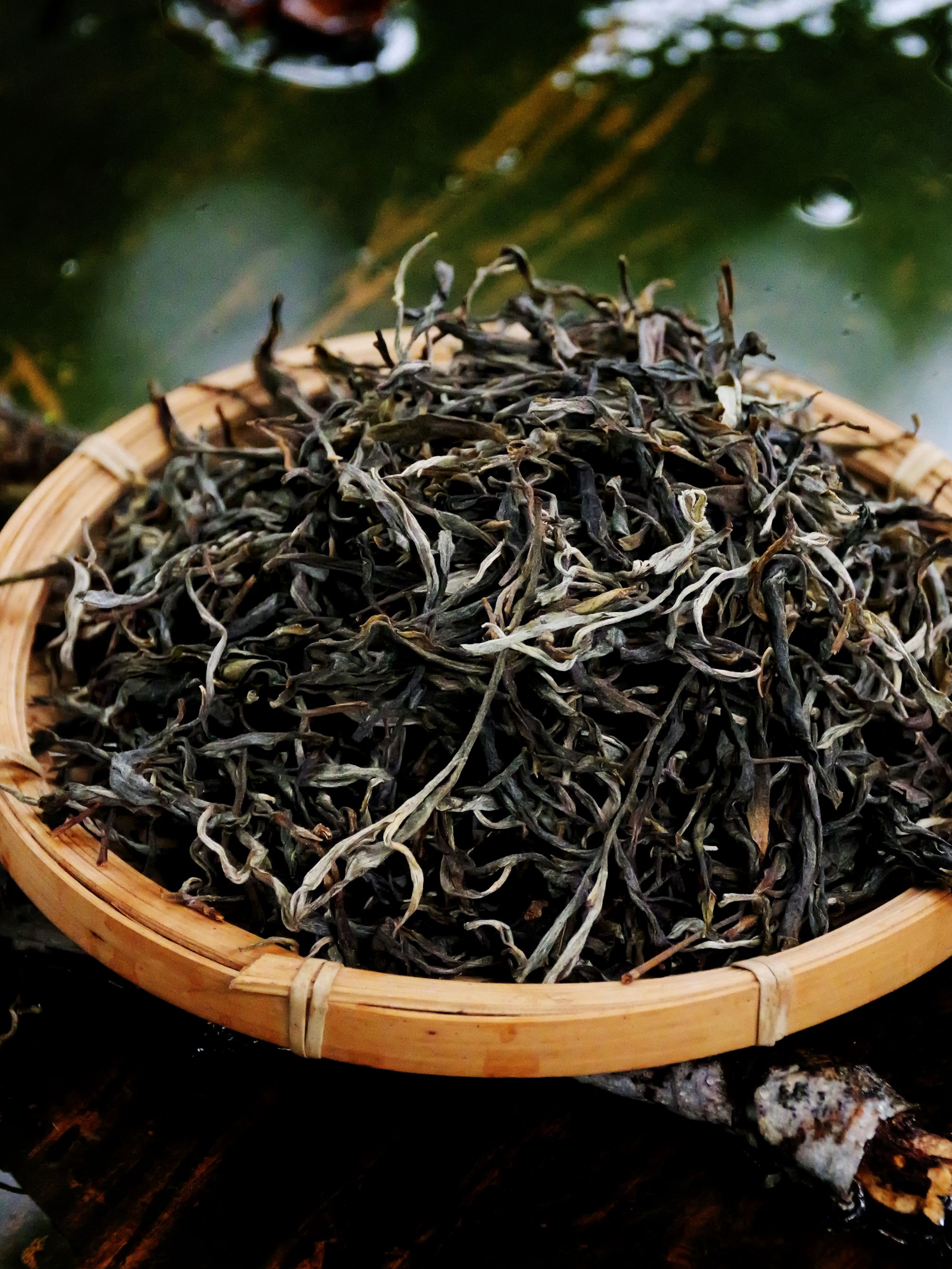 2025年易武刮风寨茶王树古树挑采头春散茶100克生茶